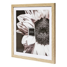 Natural Calla Wood Photo Frames (Set of 4)